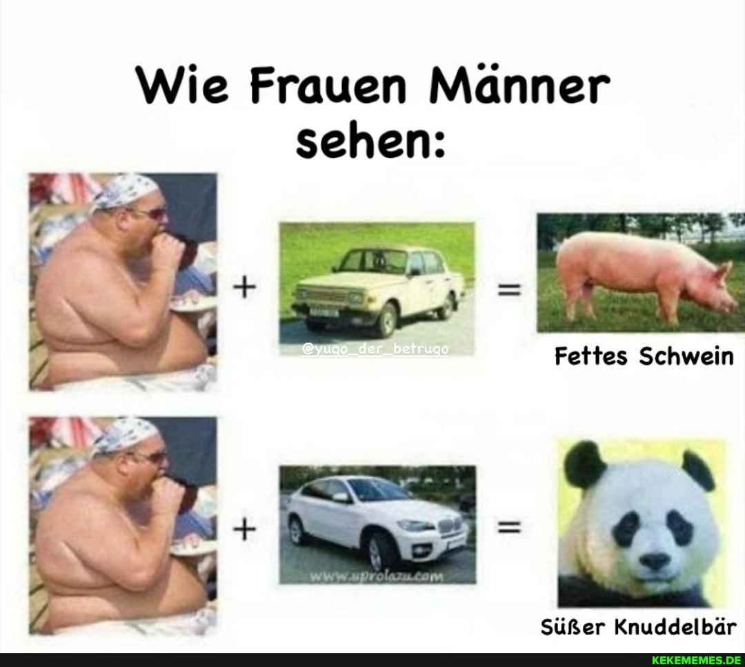 Wie Frauen Männer sehen:
Fettes Schwein
Süßer Knuddelbär