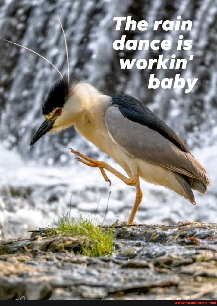 The rain dance is workin' baby