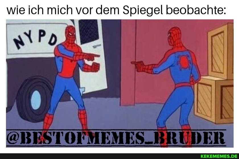 wie ich mich vor dem Spiegel beobachte:
Pol