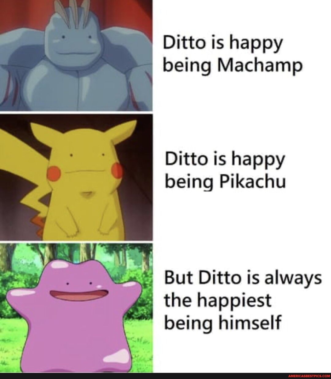 Ditto Is Happy Being Machamp Ditto Is Happy Being Pikachu But Ditto Is