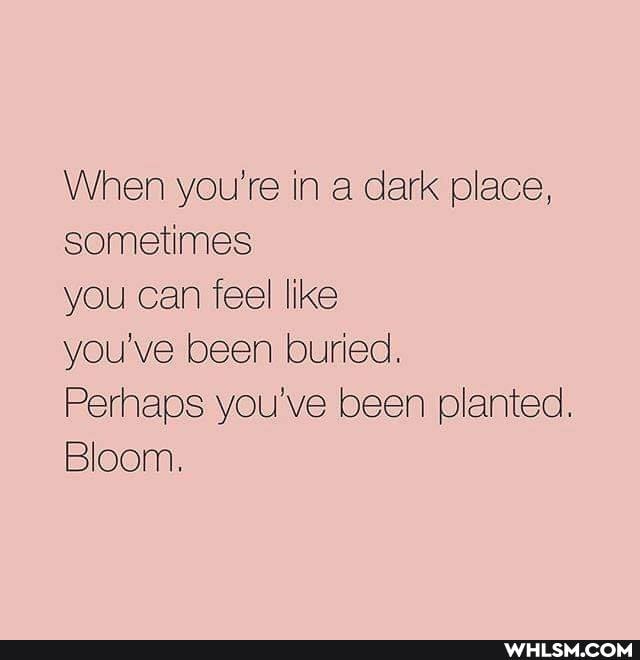 When you're in a dark place, sometimes
you can feel like
you've been buried.
Perhaps you've been planted.
Bloom.
