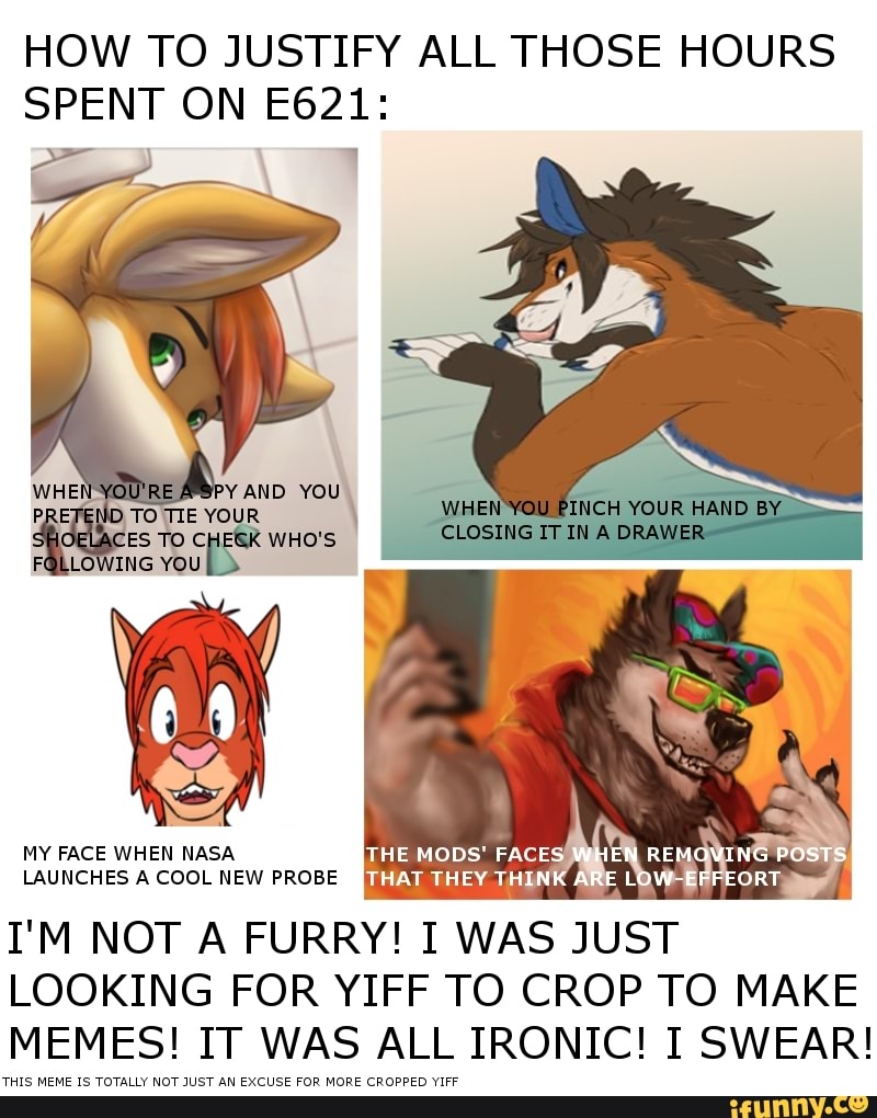 E621 net. E621 memes. Furry Cropped memes. Furry how to IRL. Spy is a furry.