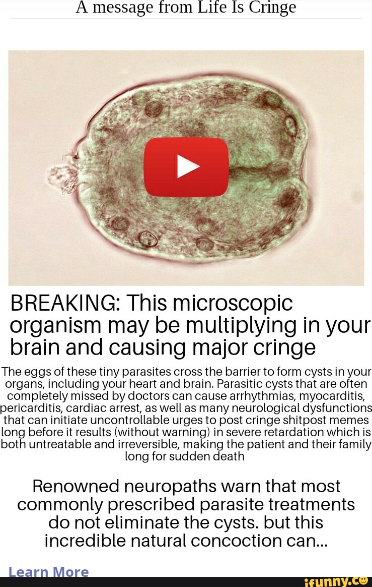 A message from Life Is Cringe BREAKING: This microscopic organism may ...