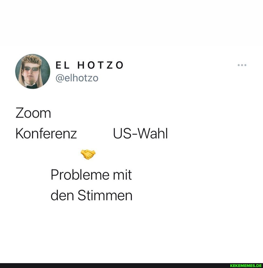 EL
@elhotzo
Zoom
Konferenz
Probleme mit den Stimmen