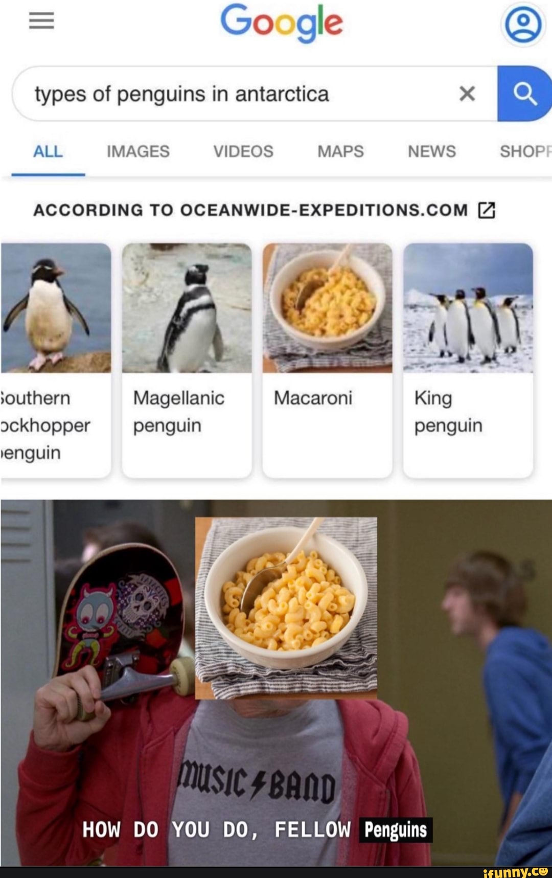 Super duper spicy memes dump - = Google types of penguins in antarctica