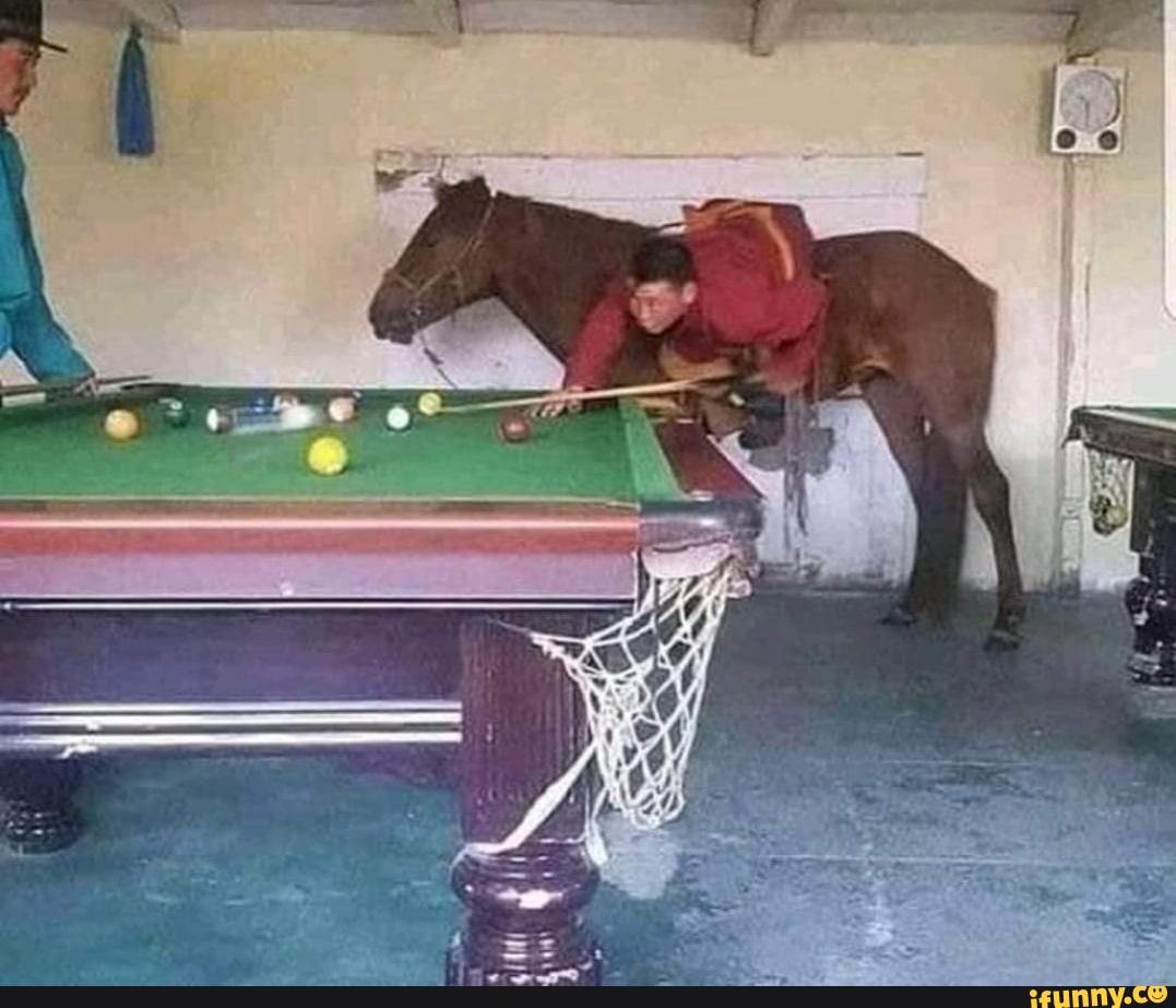 Poolrooms memes. Best Collection of funny Poolrooms pictures on iFunny  Brazil