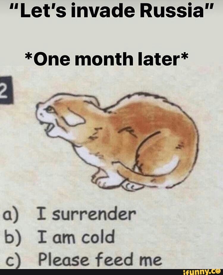 "Let's invade Russia"
*One month later*
a) I -surrender b) am cold c) Please feed me