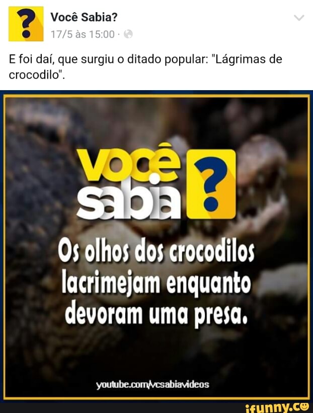 E foi daí, que surgiu o ditado popular: "Lágrimas de
crocodilo".
0s olhos
dos IM
lacrimejam enquanto
devoram uma presa,