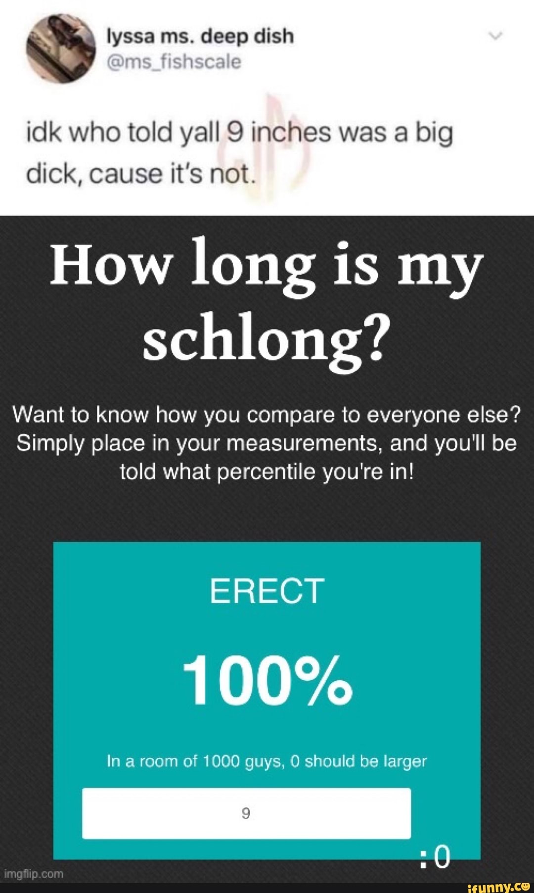 How Long Is My Schlong