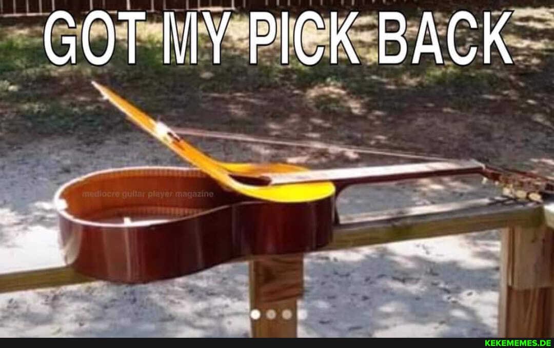 GOT MY PICK BACK