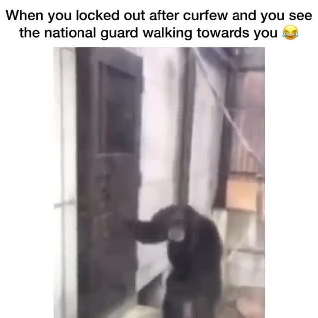 Curfew Memes Best Collection Of Funny Curfew Pictures On Ifunny
