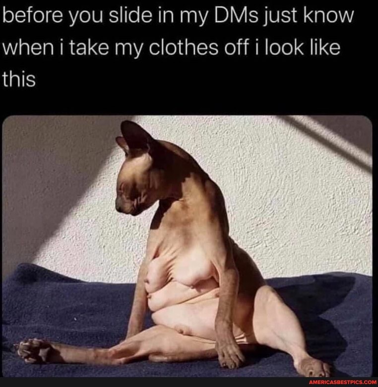 before you slide in my DMs just know when i take my clothes off i look like this