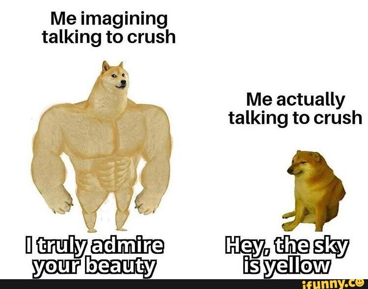 Me imagining
talking to crush
Me actually talking to crush
ienulyzad mire) Heyathe)