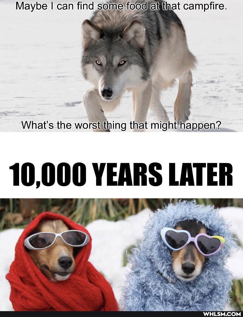 Maybe I can find some that campfire.
What's the worst ing that might happen?
10,000 YEARS LATER