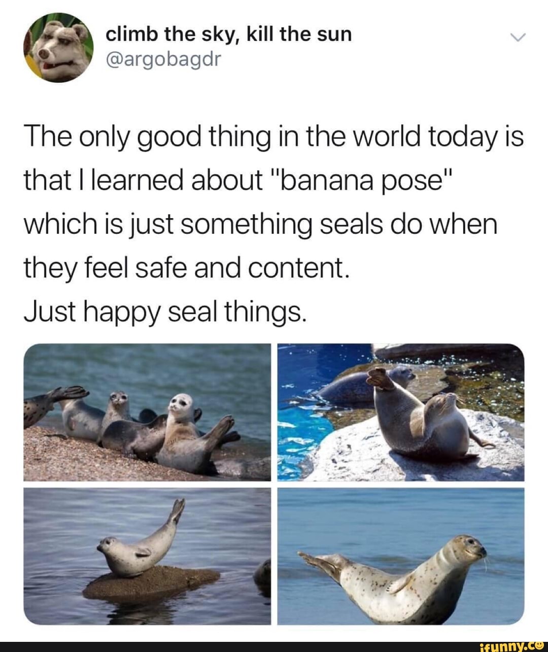 The only good thing in the world today is that I learned about "banana