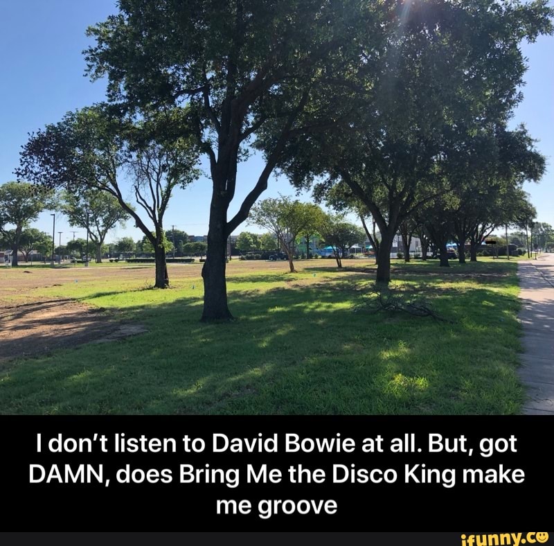 I don't listen to David Bowie at all. But, got
DAMN, does Bring Me the Disco King make
me groove - I don’t listen to David Bowie at all. But, got DAMN, does Bring Me the Disco King make me groove