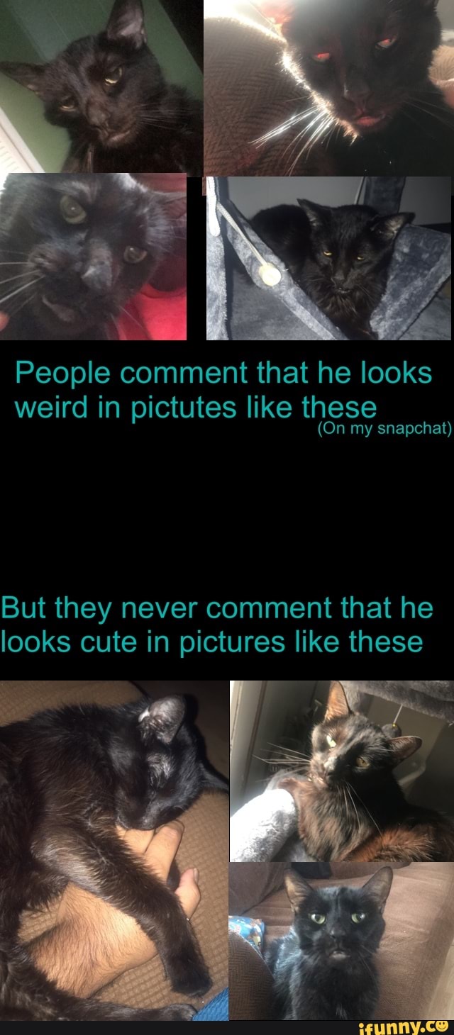 People comment that he looks
weird in pictutes like these
(On my snapchat)
But they never comment that he looks cute in pictures like these