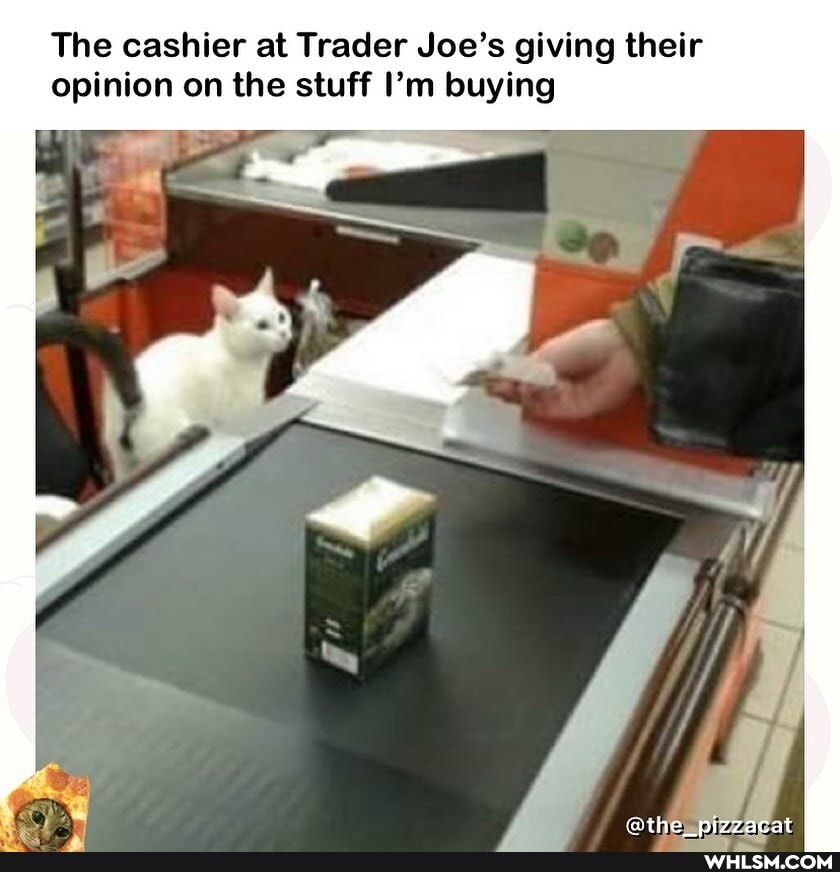 The cashier at Trader Joe's giving their
opinion on the stuff I'm buying
the nizzacat