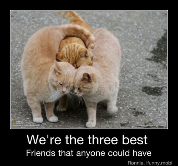 We're the three best Friends that anyone could have - We're the three ...