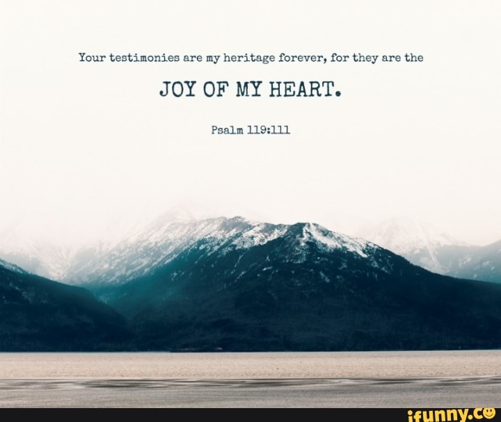 Your testimonies are my heritage forever, for they are the JOY OF MY