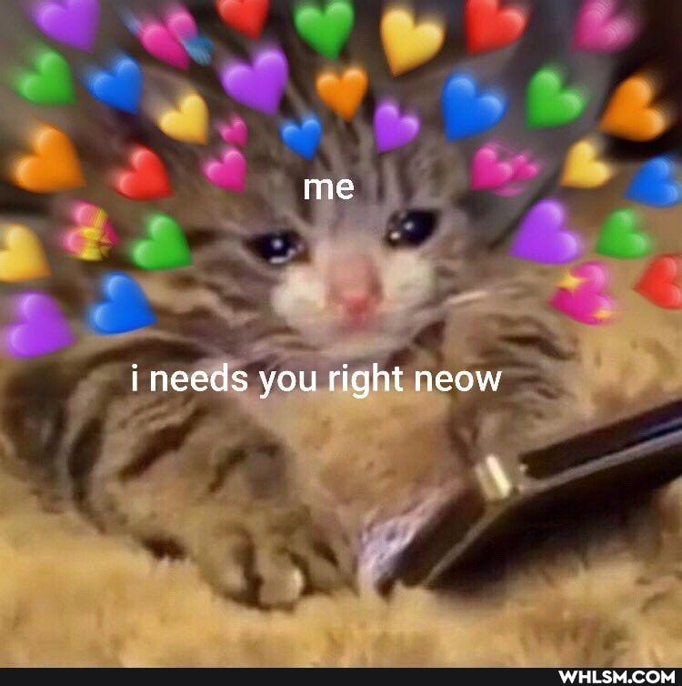 me
needs you right neow