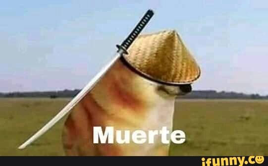 doguinho, samurai, ku, sekiroshadowsdietwice