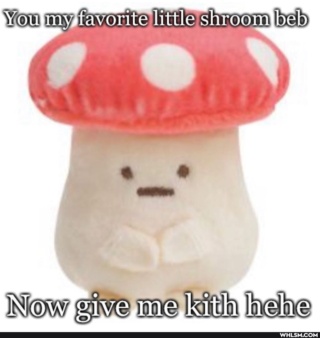 You my favorite little shroom beb
Now give kith hehe