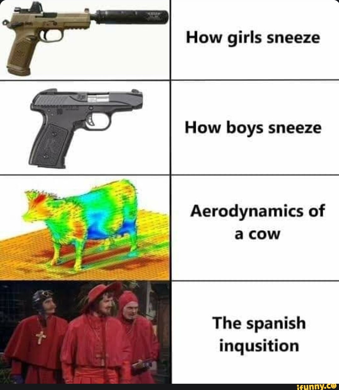 How girls sneeze How boys sneeze Aerodynamics of a cow The spanish ...