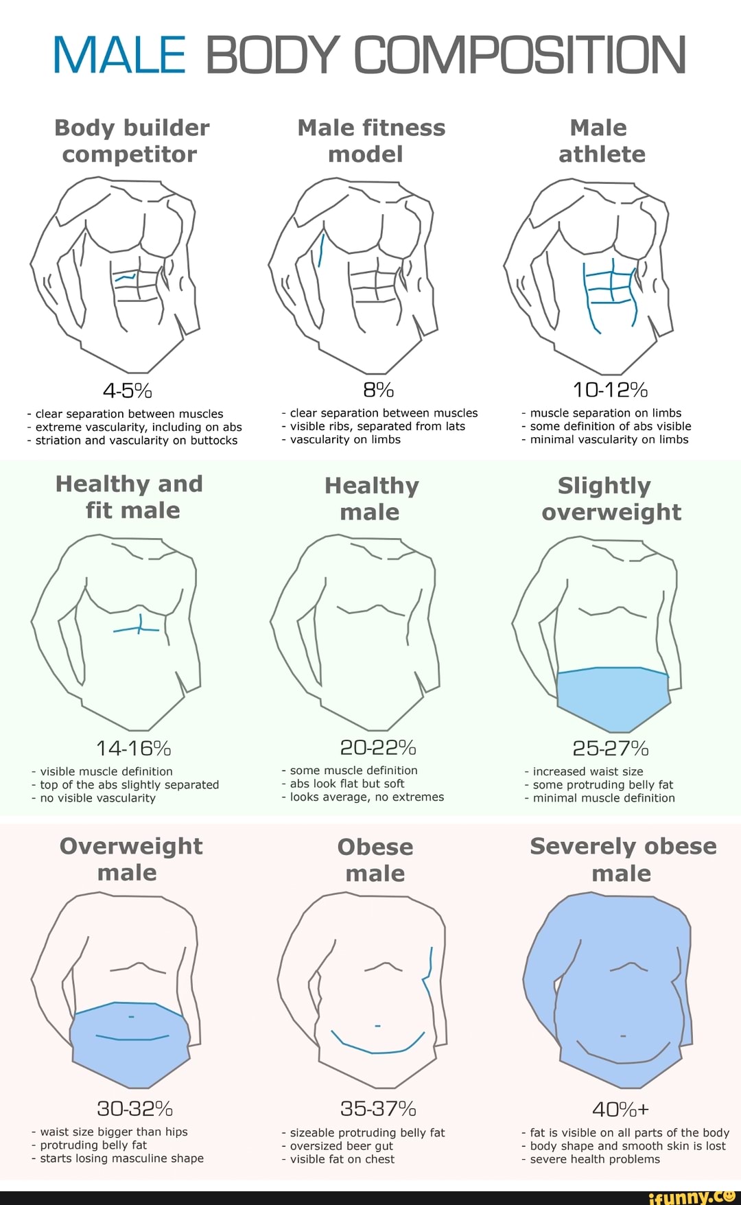 MALE BODY COMPOSITION Body builder Male fitness Male competitor model