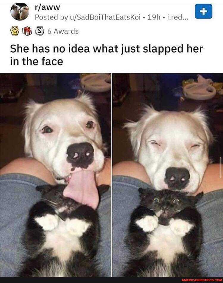 rfaww
Posted by .red...
6 Awards
She has no idea what just slapped her
BS in the face