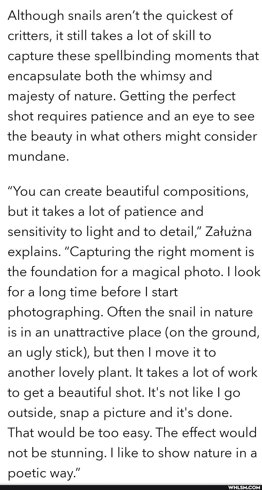 Although snails aren't the quickest of critters, it still takes a lot of skill to capture these spellbinding moments that encapsulate both the whimsy and majesty of nature. Getting the perfect shot requires patience and an eye to see the beauty in what others might consider
mundane.
"You can create beautiful compositions, but it takes a lot of patience and sensitivity to light and to detail," Zatuzna explains. "Capturing the right moment is the foundation for a magical photo. I look for along time before I start photographing. Often the snail in nature is in an unattractive place (on the ground, an ugly stick), but then I move it to another lovely plant. It takes a lot of work to get a beautiful shot. It's not like I go outside, snap a picture and it's done.
That would be too easy. The effect would not be stunning. I like to show nature in
poetic way."