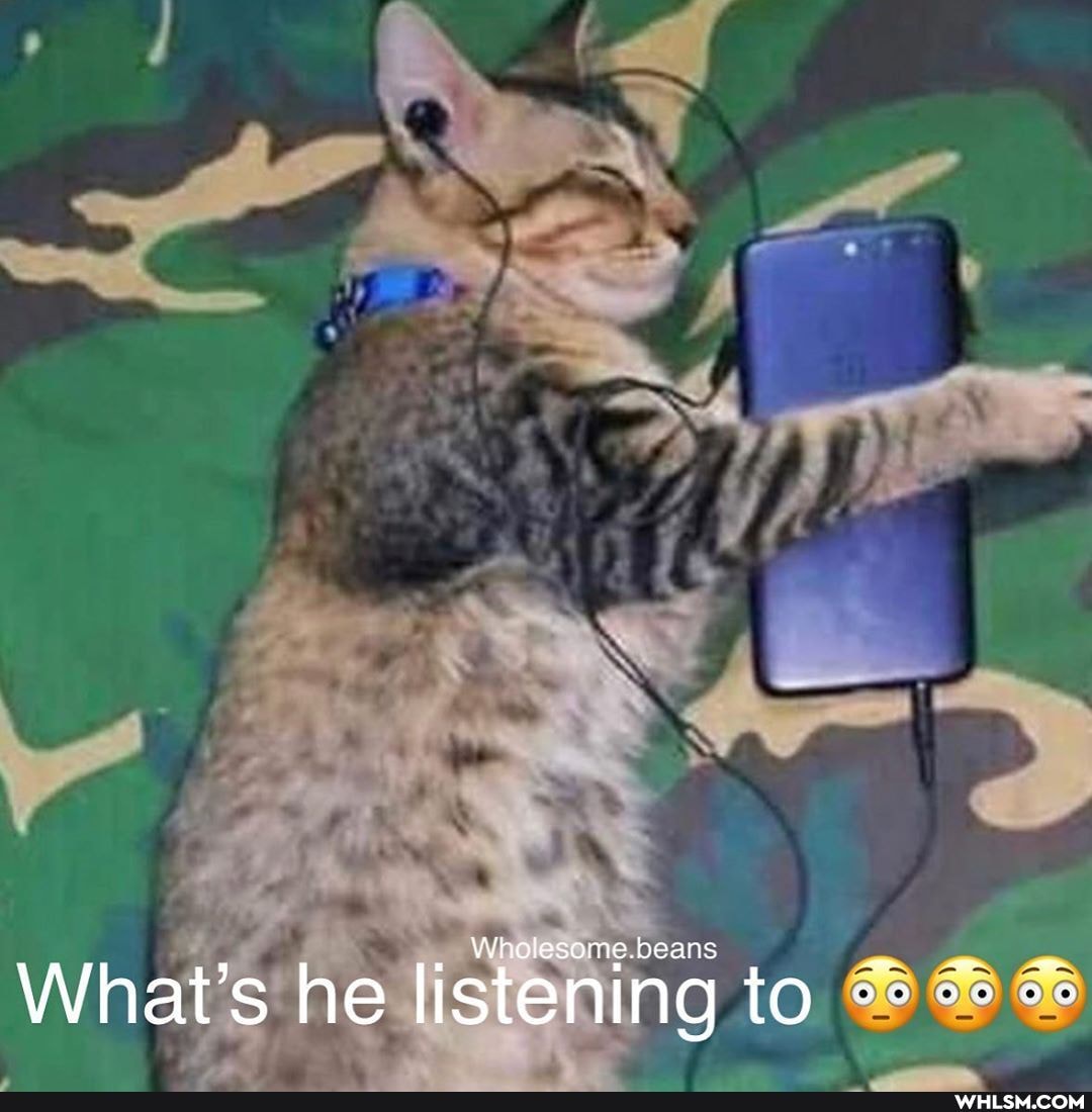 Wh lesomne.b beans
What's he listening to 68686e