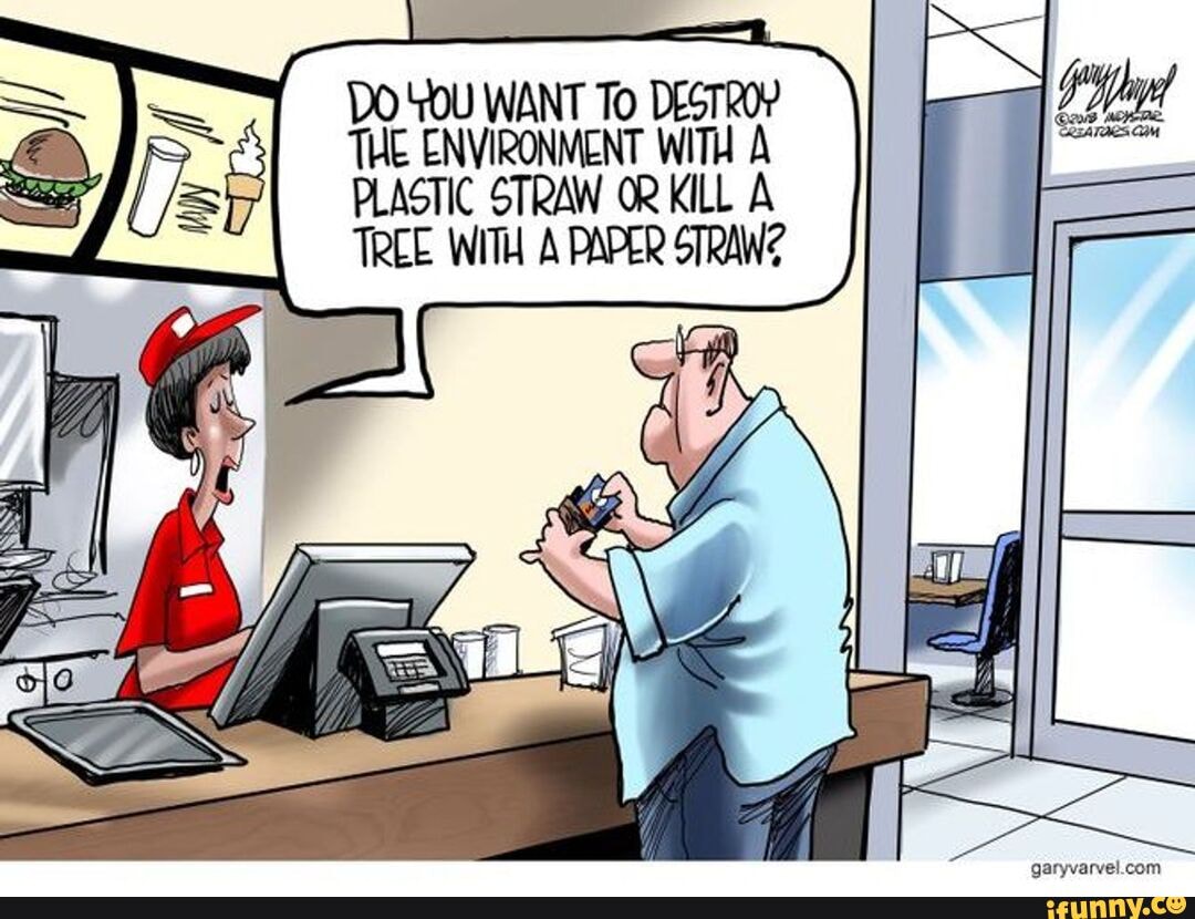 Paper or plastic DO 'YOU WANT To DESTROY THE ENVIRONMENT WITH A