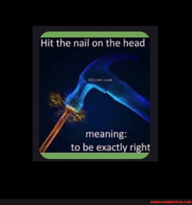 Hit the nail on the head meaning to be exactly right America’s best