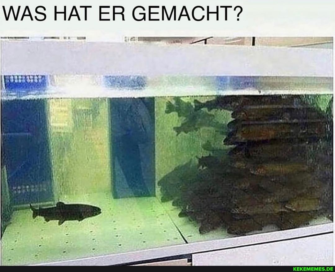 WAS HAT ER GEMACHT?