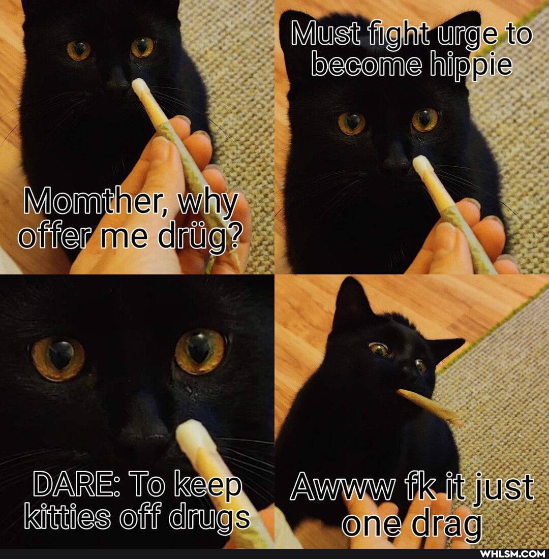Nlust fight urge to become nippie
Monmher, why oiier me entia?
DARE: To keep WW one itt just kitties off drugs One