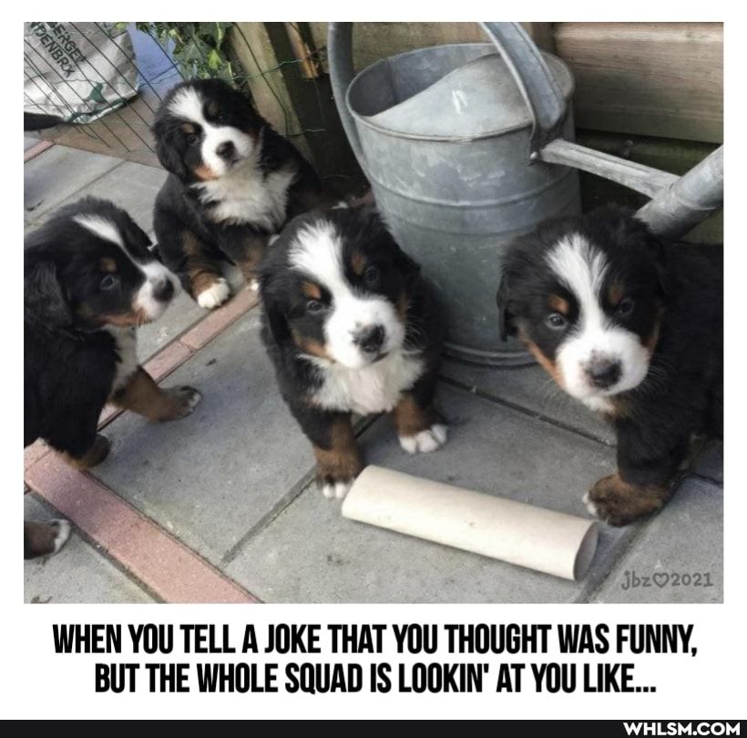 WHEN YOU TELL A JOKE THAT YOU THOUGHT WAS FUNNY,
BUT THE WHOLE SQUAD IS LOOKIN' AT YOU LIKE...