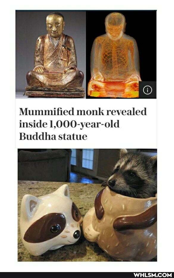 Mummified monk revealed inside 1,000-year-old
Buddha statue