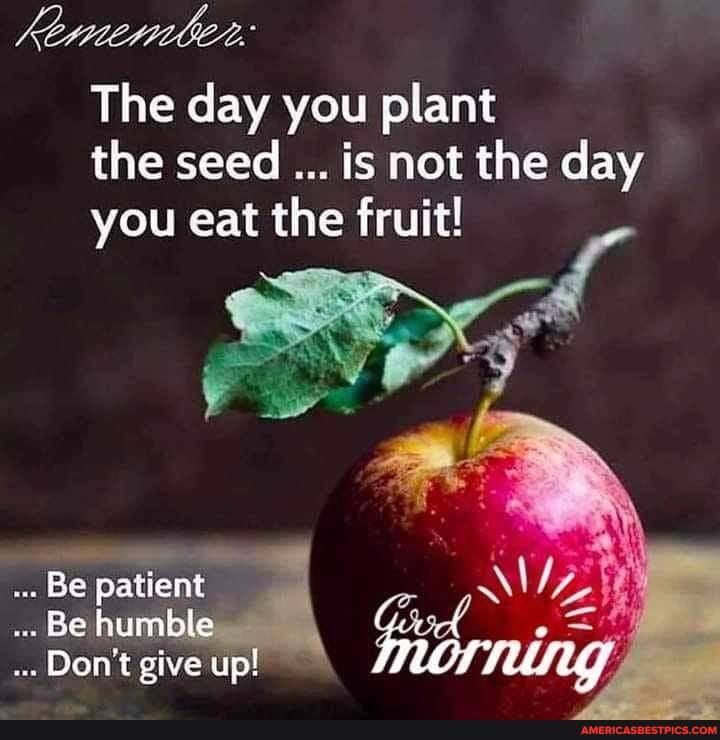 ty
The day you plant the seed is not the day you eat the fruit!
Be patient
Be hum
Don't give up!