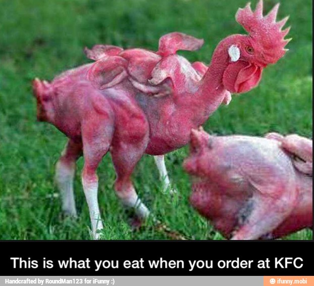 This is what you eat when you order at KFC - This is what you eat when you order at KFC