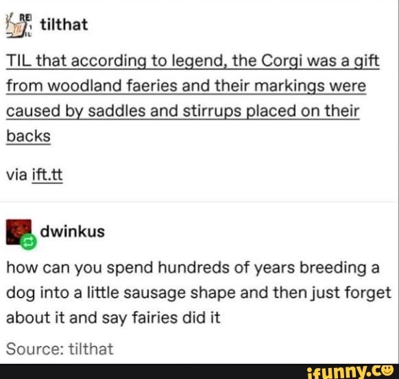 TIL that according to legend, the Corgi was a gift
from woodland faeries and their markings were
caused by saddles and stirrups placed on their
backs
via ¡ft.tt
E
how can you spend hundreds of years breeding a
dog into a little sausage shape and then just forget
about it and say fairies did it
Source: tilthat