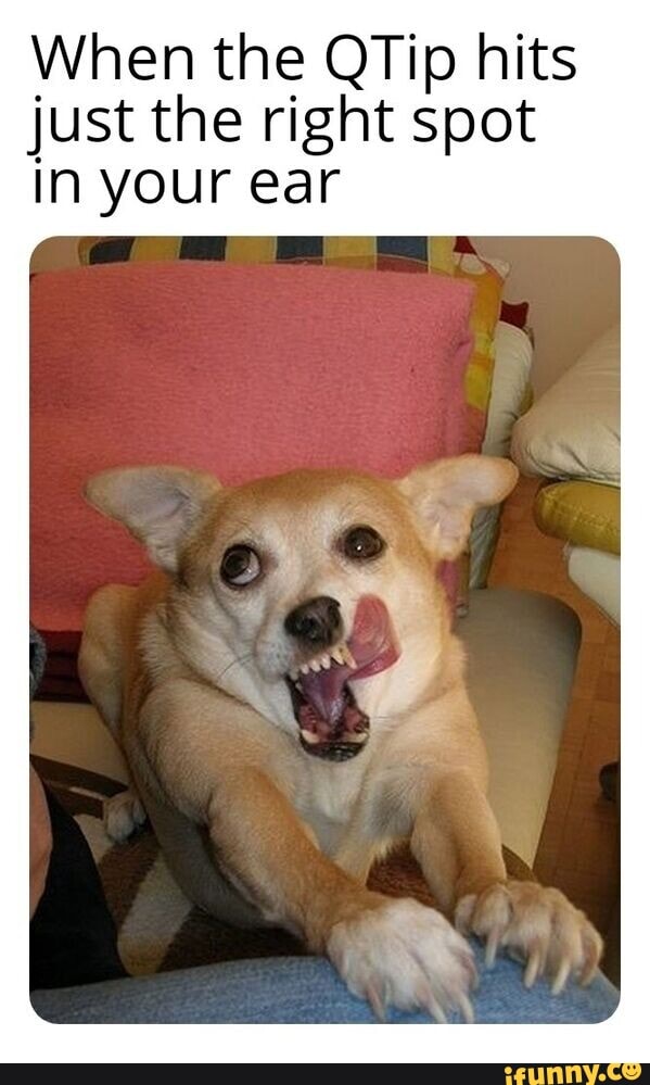When the QTip hits just the right spot In your ear iFunny