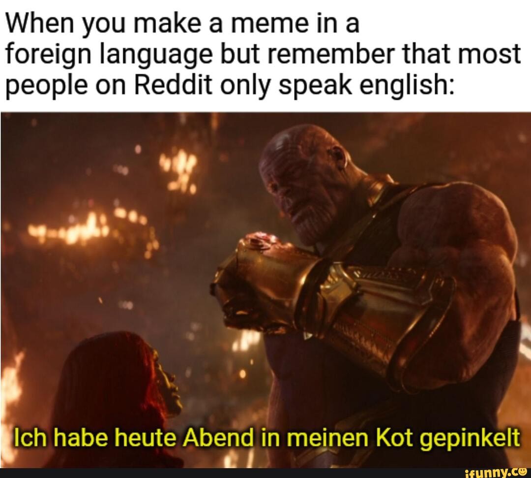 When You Make A Meme Ina Foreign Language But Remember That Most People On Reddit Only Speak English Ich Habe Heute Abend In Meinen Kot Gepinkelt