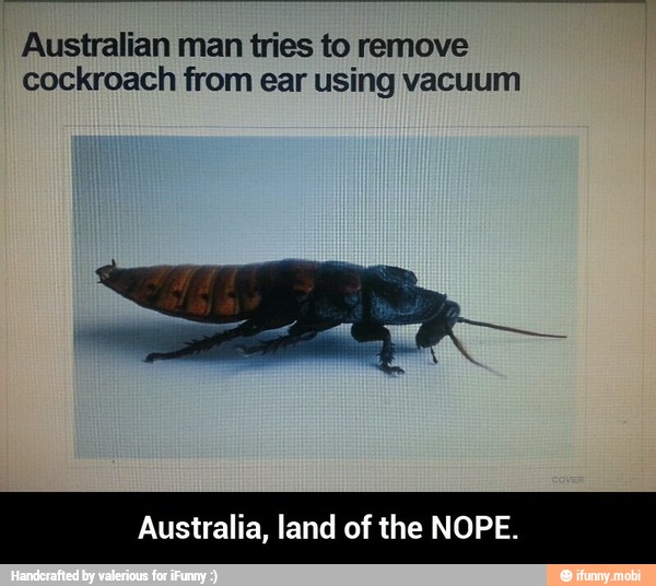 Australian man tries to remove
cockroach from ear using vacuum
Australia, land of the NOPE. - Australia, land of the NOPE.