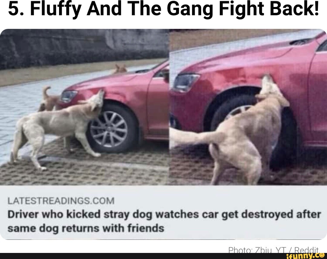 9. Fluffy And The Gang Fight Back! . 3 is 7 LATESTREADINGS COM I