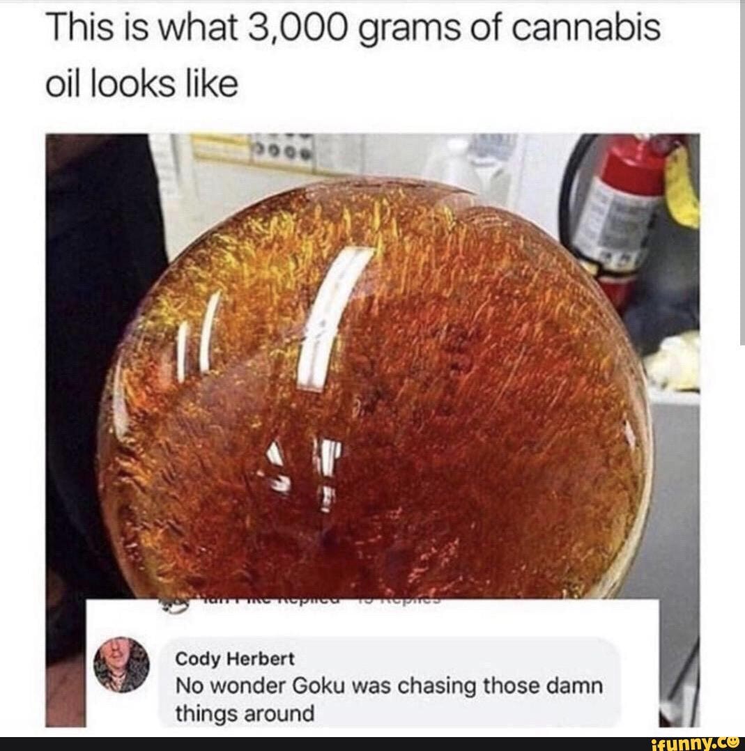 This is what 3,000 grams of cannabis
oil looks like
No wonder Goku was chasing those damn
things around