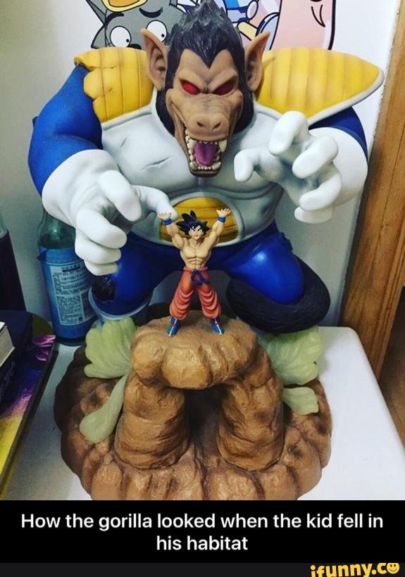 How the gorilla looked when the kid fell in
his habitat - How the gorilla looked when the kid fell in his habitat
