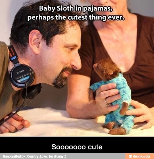 Baby
sloth in Pajamas,
perhaps theicutest thin - Sooooooo cute