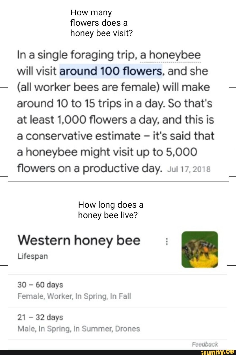 How many flowers does a honey bee visit? In a single foraging trip, a