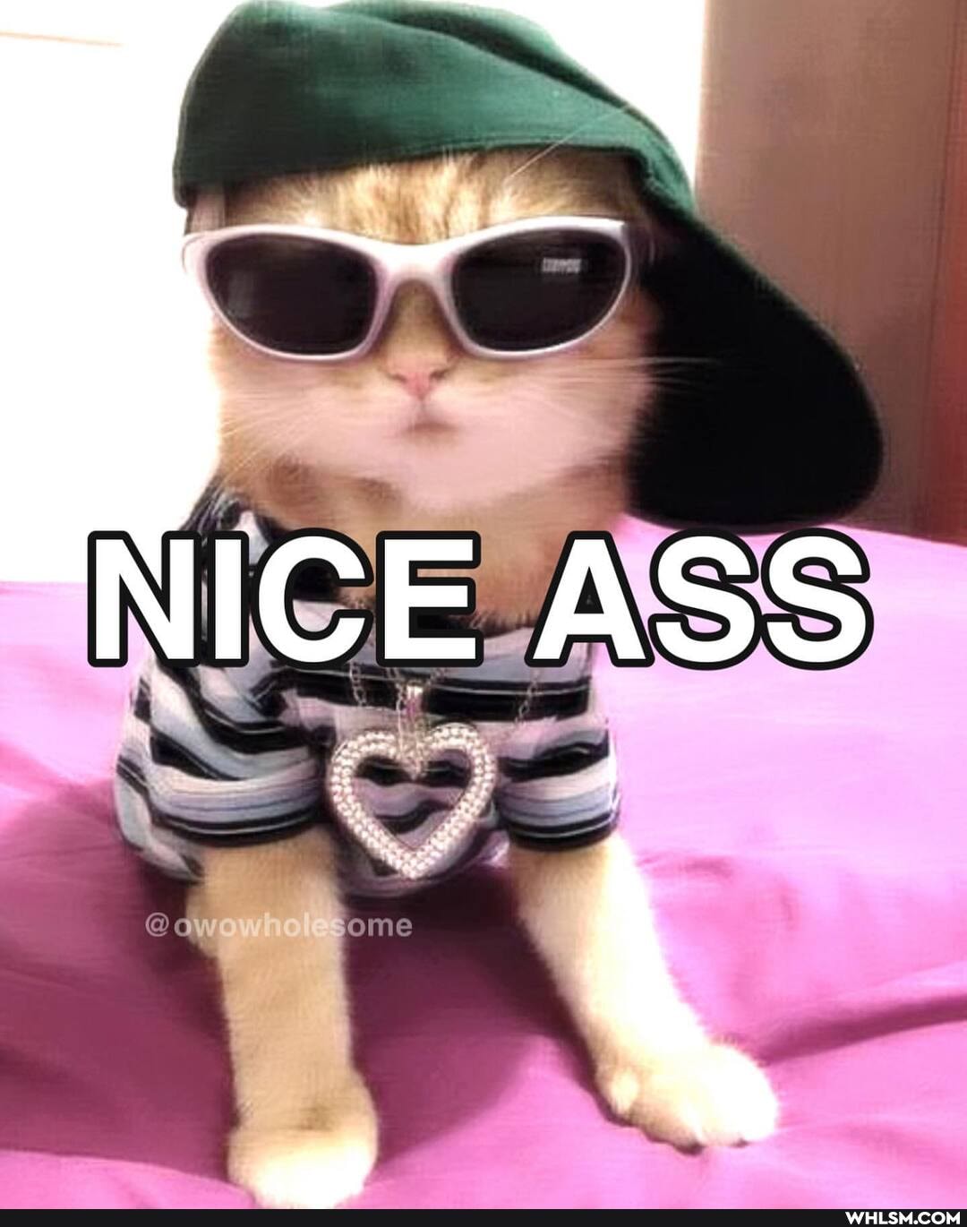 . '
NICE ASS